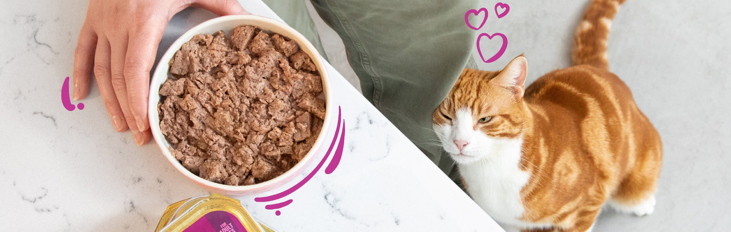 Mascota Suministros Ventas -Mascota Suministros Ventas 1