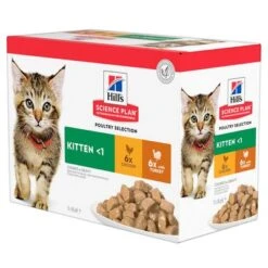 Hill's Science Plan Hill's Kitten Para Gatos -Mascota Suministros Ventas 101365 pla hills science plan kitten gefluegel auswahl 5