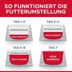 Hill's Science Plan Hill's Kitten Para Gatos -Mascota Suministros Ventas 102009 hill s science plan kitten seefisch hs 01 8