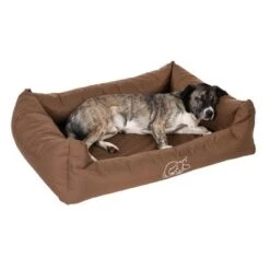Cama Strong & Soft Para Perros 34 Cama Strong & Soft Para Perros -Mascota Suministros Ventas 104018 strong soft bett fg 6908 0