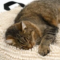 Cojín Para Mascotas Color Crema 19 Cojín Para Mascotas Color Crema -Mascota Suministros Ventas 104122 katze fg 5644 5