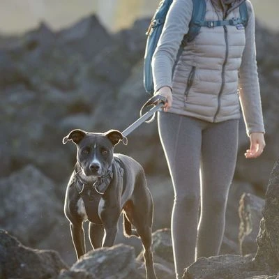 Arnés Ruffwear New Front Range Gris Para Perros 4 Arnés Ruffwear New Front Range Gris Para Perros - Imagen 4