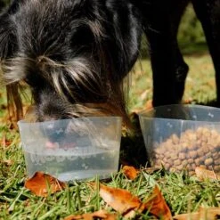 Comedero Plegable Mobowl -Mascota Suministros Ventas 111118 texstar mobowl foldablebowl hs 02 9