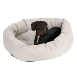 Cama Modern Living Bailey Para Perros -Mascota Suministros Ventas 111544 hundebett baily fg 0610 8