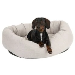 Cama Modern Living Bailey Para Perros -Mascota Suministros Ventas 111544 hundebett baily fg 0614 5