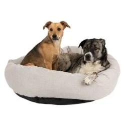 Cama Modern Living Bailey Para Perros -Mascota Suministros Ventas 111545 hundebett baily fg 0574 0