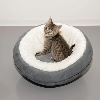 Cueva Ellora Para Gatos Y Perros Pequeños 4 Cueva Ellora Para Gatos Y Perros Pequeños - Imagen 4