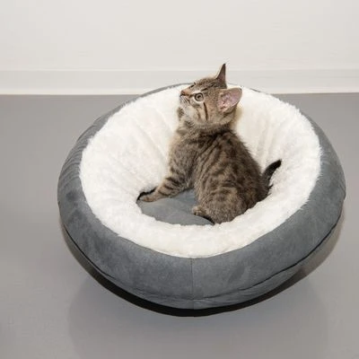 Cueva Ellora Para Gatos Y Perros Pequeños 15 Cueva Ellora Para Gatos Y Perros Pequeños - Imagen 15