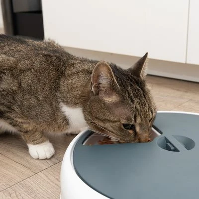 Alimentador Automático Noma 10 Alimentador Automático Noma - Imagen 10