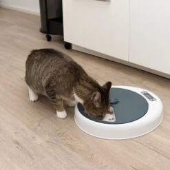 Alimentador Automático Noma 25 Alimentador Automático Noma -Mascota Suministros Ventas 116296 futterautomat noma fg 9456 9