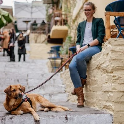 Julius K9 Arnés JULIUS-K9 IDC® POWAIR Naranja Para Perros 11 Julius K9 Arnés JULIUS-K9 IDC® POWAIR Naranja Para Perros - Imagen 11