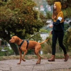 Julius K9 Arnés Para Perros JULIUS-K9 IDC® Longwalk Negro Y Gris 17 Julius K9 Arnés Para Perros JULIUS-K9 IDC® Longwalk Negro Y Gris -Mascota Suministros Ventas 123299 julius k9 idc longwalk geschirr schwarz grau hs 14 7