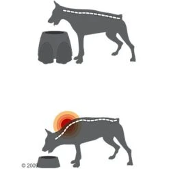 Comedero Alto Savic Ergo Feeder -Mascota Suministros Ventas 125461 savic ergofeeder3 1