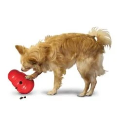 KONG Wobbler Para Snacks -Mascota Suministros Ventas 1355067777031411080314 3