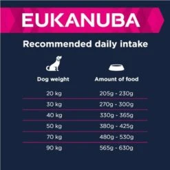 Eukanuba Adult Razas Grandes Con Cordero Y Arroz -Mascota Suministros Ventas 135797 eukanuba adult large breed lamm reis feeding 3 9