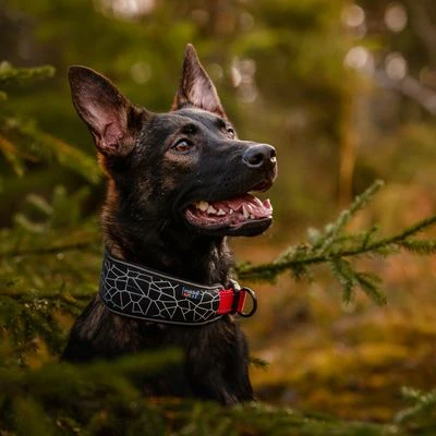 Rukka® Cube Soft Collar, Rojo / Negro 3 Rukka® Cube Soft Collar, Rojo / Negro - Imagen 3