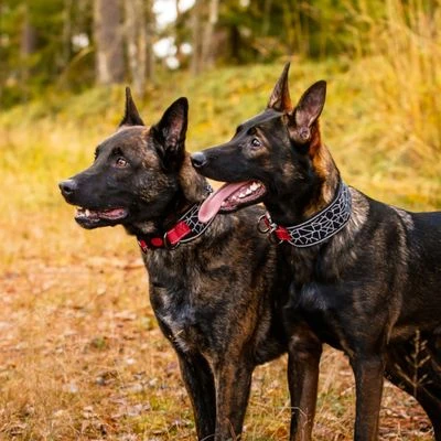 Rukka® Cube Soft Collar, Rojo / Negro 5 Rukka® Cube Soft Collar, Rojo / Negro - Imagen 5