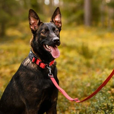 Rukka® Cube Soft Collar, Rojo / Negro 6 Rukka® Cube Soft Collar, Rojo / Negro - Imagen 6