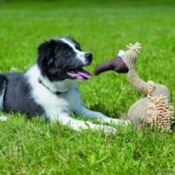 Buitre De Peluche Trixie Con Sonido -Mascota Suministros Ventas 140050 trixie hundespielzeug geier gustav 2 4 0