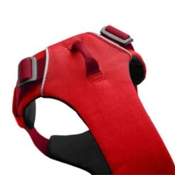 Arnés Ruffwear New Front Range Rojo Para Perros -Mascota Suministros Ventas 146300 accapi hundegeschirr front range harness brustumfang small rot 56 96cm hs 04 6