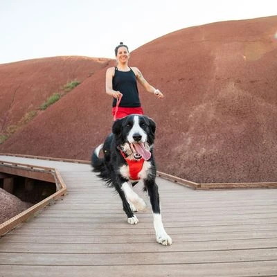 Arnés Ruffwear New Front Range Rojo Para Perros - Imagen 6