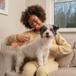 Pet Head Quick Fix Champú En Seco Para Perros -Mascota Suministros Ventas 159702 companyofanimals pethead quickfixspray 300ml hs 05 3