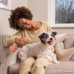 Pet Head Quick Fix Champú En Seco Para Perros -Mascota Suministros Ventas 159702 companyofanimals pethead quickfixspray 300ml hs 06 2