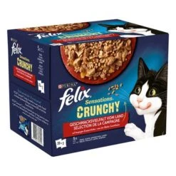 Felix Sensations Crunchy 20 X 85 G + 2 X 40 G Topping