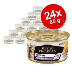 PURINA PRO PLAN Kitten Healthy Start 24 X 85 G En Latas -Mascota Suministros Ventas 171799 purina proplan cat kitten 85g hs 03 5