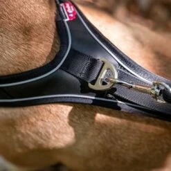 Arnés Curli Belka Comfort Negro Para Perros -Mascota Suministros Ventas 176034 curli belka comfort geschirr schwarz hs 10 7