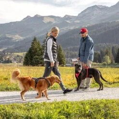 Arnés Curli Belka Comfort Negro Para Perros -Mascota Suministros Ventas 176034 curli belka comfort geschirr schwarz hs 12 7