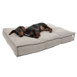 Cama Hamilton EcoLIFE Gris Para Perros -Mascota Suministros Ventas 180715 hamilton ecolife grau fg 6399 2