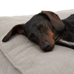 Cama Hamilton EcoLIFE Gris Para Perros -Mascota Suministros Ventas 180715 hamilton ecolife grau fg 6400 5