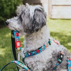 Arnés Max & Molly Little Monsters Para Perros -Mascota Suministros Ventas 186583 186584 189797 maxnmolly hg eschirr littlemonsters hs 01 7