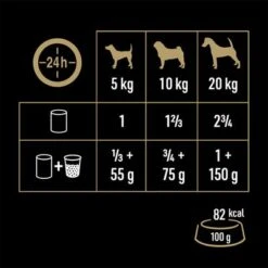 Cesar Natural Goodness Latas Para Perros -Mascota Suministros Ventas 186796 marsgermany cesar naturalgoodness huhn 6x400g hs 07 2