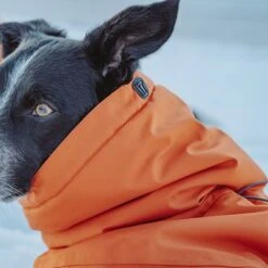 Abrigo Invernal Bare Sunrise Hurtta Para Perros -Mascota Suministros Ventas 188296 188297 188298 188299 188300 188301 188302 hurtta forzooplus bare winterjacke sunrise hs 15 9