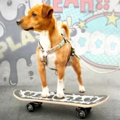 Arnés Max & Molly Cómic Para Perros -Mascota Suministros Ventas 189999 186590 190000 maxnmolly h geschirr comic hs 03 8