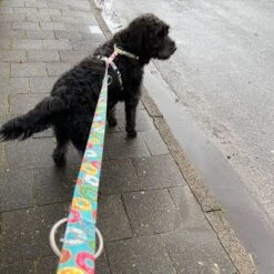 Arnés Max & Molly Donuts Para Perros -Mascota Suministros Ventas 190296 190297 190396 maxnmolly hg eschirr donuts hs 05 6