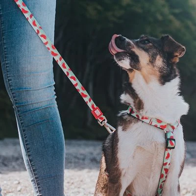 Arnés Max & Molly Watermelon Para Perros 12 Arnés Max & Molly Watermelon Para Perros - Imagen 12