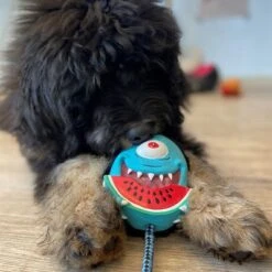 Max & Molly Bubba King Juguete De Látex Para Perros -Mascota Suministros Ventas 191100 maxn molly kuscheltier spielzeug bubba king hs 04 5