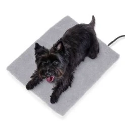 Esterilla Térmica HAFENBANDE Molly Con Regulador De Temperatura 16 Esterilla Térmica HAFENBANDE Molly Con Regulador De Temperatura -Mascota Suministros Ventas 193243 waagenschmitt hafenbande heizmatte temperatursteuerung hs 10 8