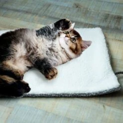 Esterilla Térmica HAFENBANDE Molly Con Regulador De Temperatura 15 Esterilla Térmica HAFENBANDE Molly Con Regulador De Temperatura -Mascota Suministros Ventas 193243 waagenschmitt hafenbande heizmatte temperatursteuerung hs 13 3