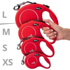 Correa Extensible Flexi New Classic Con Cinta De 5 M 11 Correa Extensible Flexi New Classic Con Cinta De 5 M -Mascota Suministros Ventas 198003 flexi new classic gurt leine s schwarz hs4 3