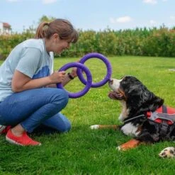 Ferplast Puller Juguete Para Perros -Mascota Suministros Ventas 199296 ferplastitalien ferplast hundespielzeug puller midi 27cm hs 11 7