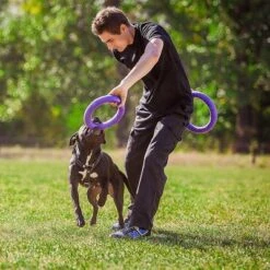 Ferplast Puller Juguete Para Perros -Mascota Suministros Ventas 199296 ferplastitalien ferplast hundespielzeug puller midi 27cm hs 13 9