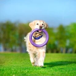 Ferplast Puller Juguete Para Perros -Mascota Suministros Ventas 199296 ferplastitalien ferplast hundespielzeug puller midi 27cm hs 16 5