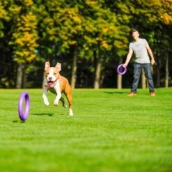 Ferplast Puller Juguete Para Perros -Mascota Suministros Ventas 199296 ferplastitalien ferplast hundespielzeug puller midi 27cm hs 17 7