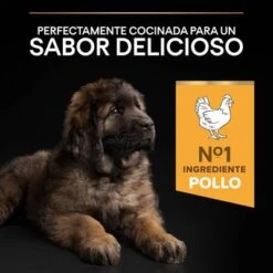 PURINA PRO PLAN Large Robust Puppy Healthy Start -Mascota Suministros Ventas 1 44142748 es es 221230 1 8