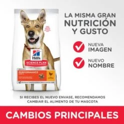 Hill's Science Plan Hill's Adult 1+ Perfomance Science Plan Con Pollo -Mascota Suministros Ventas 1 atf11 604383 key changes 8
