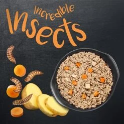 Greenwoods Insects Insectos Con Patatas Y Zanahorias 7 Greenwoods Insects Insectos Con Patatas Y Zanahorias -Mascota Suministros Ventas 1 greenwoods insects board 2